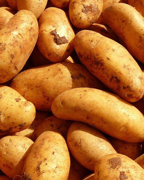 argyrakis-potatos-patates-1